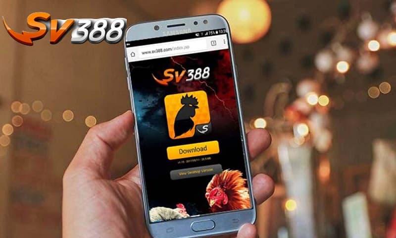 Cá cược đá gà SV388 chất lượng cao hấp dẫn mọi cược thủ