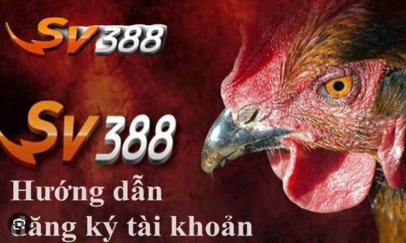 Địa chỉ đăng ký SV388