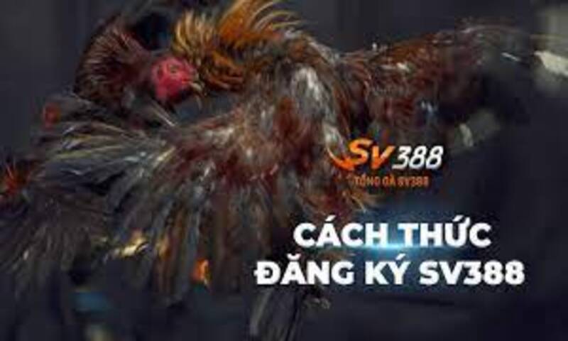 Điều kiện đăng ký tài khoản SV388