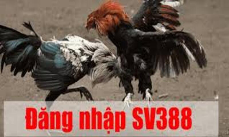 Các trường hợp lỗi đăng nhập khác